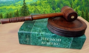 Тендерное сопровождение